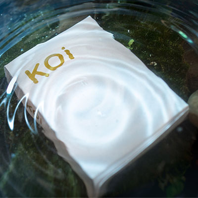 Koi V2 Playing Cards&nbsp;by&nbsp;Byron Leung